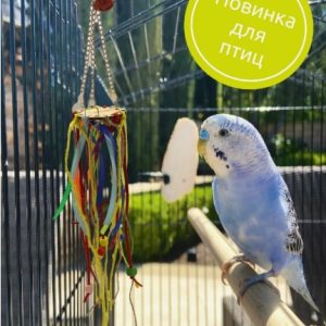 Игрушка для птиц "Веселое кольцо"" GoSi