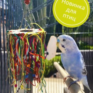 Игрушка для птиц "Цветочек"" GoSi