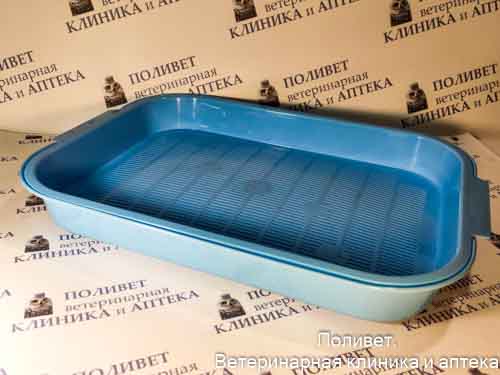 Туалет для кошек с сеткой Колор, синий, 380*280*55мм 20432028
