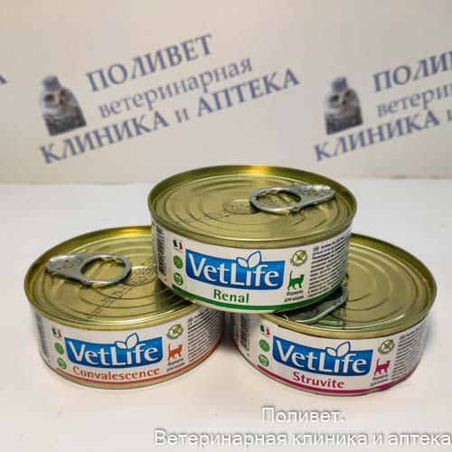 Фармина VET LIFE NATURAL DIET CAT RENAL Консервы д/кошек при заболеваниях почек 85г (2864)