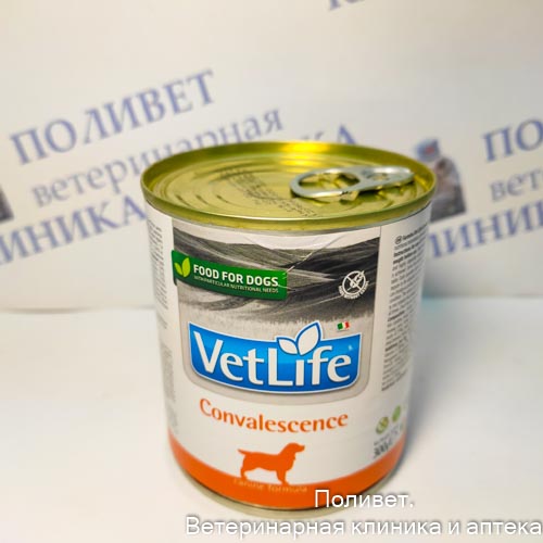 Фармина Вет Лайф Консервы д/собак в период восстановления 300г (2789)