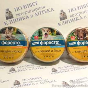 Форесто Ошейник для кошек 38см