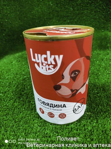 Консервы для собак всех пород с 6 мес. Lucky bits говядина с клюквой и тыквой, 400 г (Лаки битс)