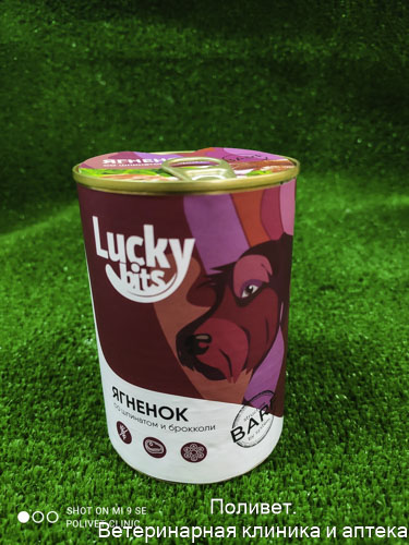 Консервы для собак всех пород с 6 мес. Lucky bits ягненок с брокколи и шпинатом, 400 г (Лаки битс)