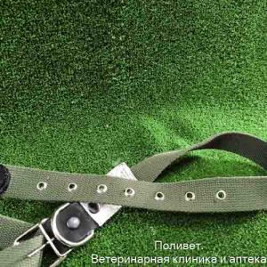Ошейник брезентовый одинарный с несущей кожаной головой,  3,0*65 1013