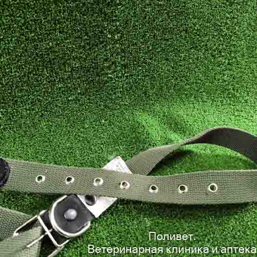 Ошейник брезентовый одинарный с несущей кожаной головой,  3,0*65 1013
