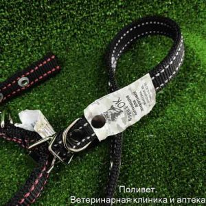 Ошейник нейлоновый двойной, 5031