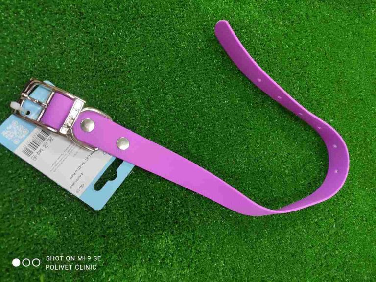 Ошейник Биотан L 25" 31-47см Rich Breed ОБ-10 фиолетовый