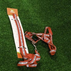 Комплект светоотражающий "Косточки", ошейник 120 х 1 см, ОШ 24-40 см, ОГ 24-40 см оранжевый 2903469