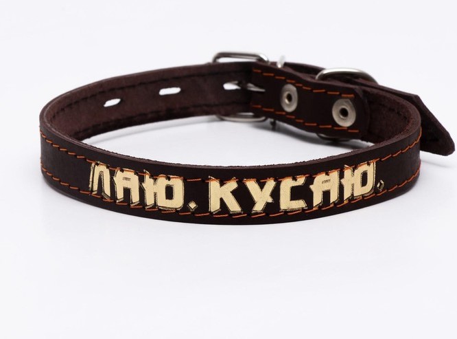 Ошейник кожаный однослойный, тиснёный «Лаю. Кусаю», 48х2, ОШ 32-43 см, коричневый с золотом 7152736