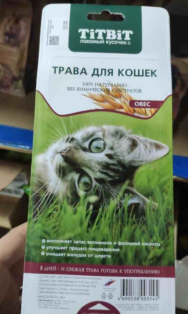 Titbit Трава для кошек (овес)
