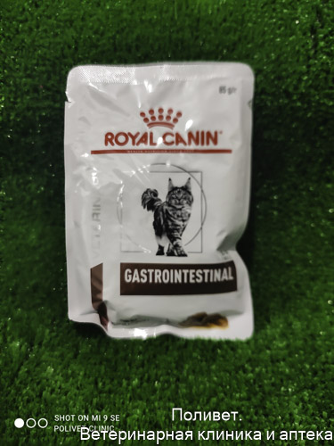 Royal Canin Gastrointestinal Корм диет. влажный д/взр. кошек при наруш. пищеварения 85г пауч