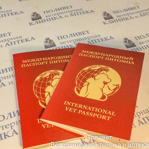 Паспорт ветеринарный международный универсальный красный