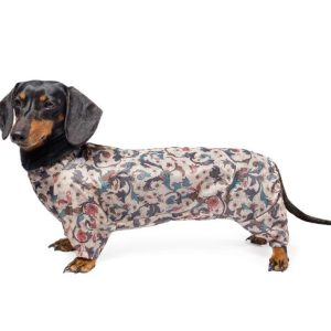 Gamma комбинезон демисезонный Кроличья такса 36см