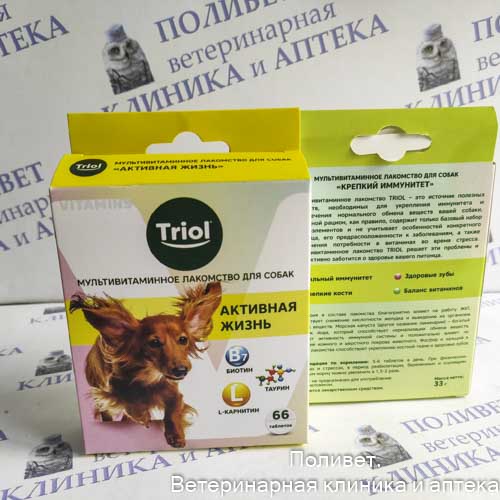 Triol лакомство мультивитаминное д/собак Активная жизнь 33г таб. №66
