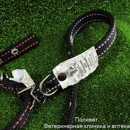 Ошейник нейлоновый двойной 3,0*65