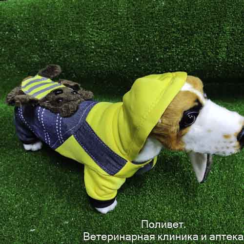 Комбинезон «Мишка», XS (ДС 20 см, ОШ 20 см, ОГ 30 см)   5152126