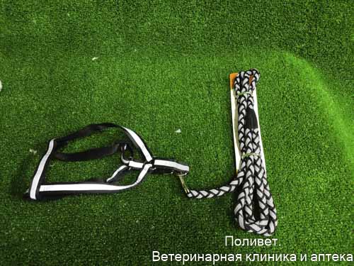 Комплект "Плетенка", флуоресцентный, шлейка 32-48 см, поводок 115 х 1 см, чёрный 6257010