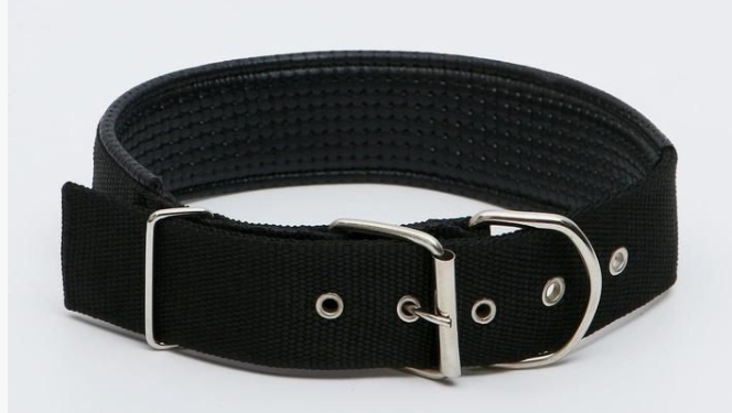 Ошейник "Комфорт" комбинированный, 60 х 4 см, ОШ 45-55 см, чёрный   609542