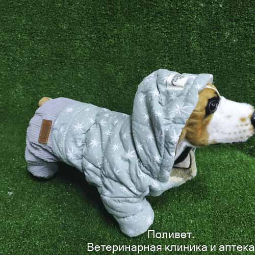Комбинезон "Прогулка", размер М (ДС 28, ОГ 43, ОШ 30 см, до 6 кг), серо-зелёный   9748728