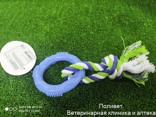 Игрушка жевательная с канатом "Кусочек солнца", 8 см, голубая   7916119