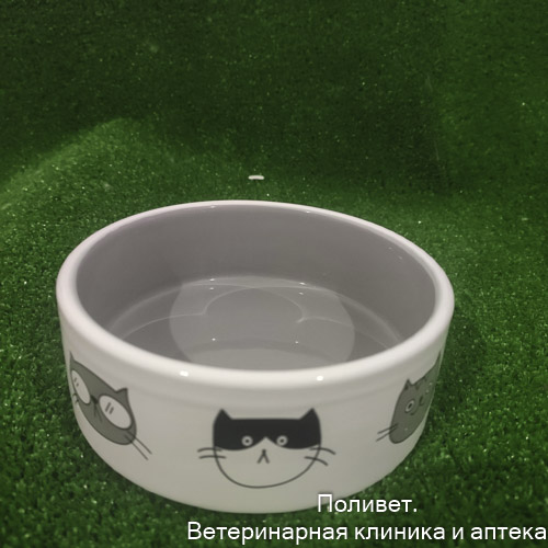 Миска керамическая "Четыре кота" 300 мл  12,5 x 4,5 cм, белая/серая   9942205