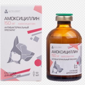 Амоксициллин-150 суспензия д/инъекций 15% 20мл