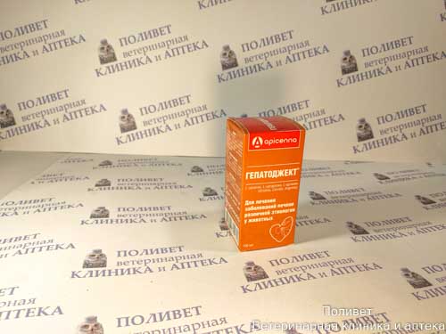 Гепатоджект р-р д/инъекций 100мл