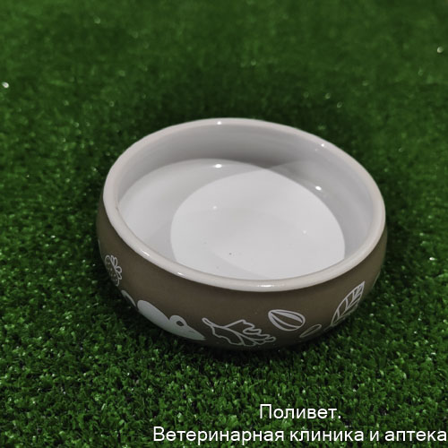 Миска керамическая "Вкусняшки", 80 мл, 8,5*8,5*2,5 см   9824118