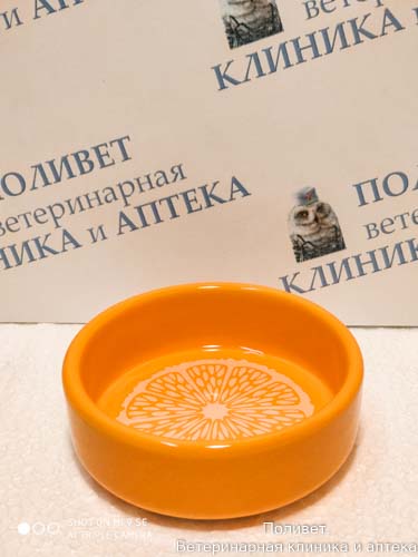 Миска керамическая для мелких животных Апельсин 0,1л Triol 30231001