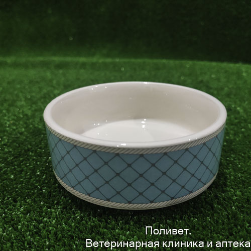 Миска керамическая "Сеточка" 180 мл, 10,5 х 4 см, зелёная 3890077