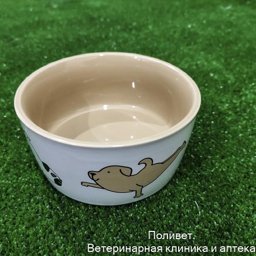Миска керамическая "Фитнес песики", 200 мл, 10,5*9,5*5 см   9824113
