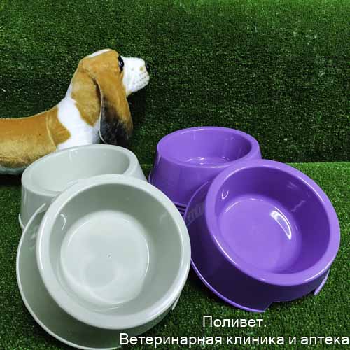Миска пластиковая 17 х 17 х 5 см, 400 мл, фиолетовая 4716174