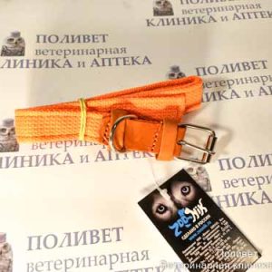 Ошейник брезент, двойной 20мм (33-45см), оранжевый