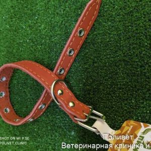 Ошейник кожаный однослойный безразмерный, 45 х 2 см, ОШ 18-39 см, красный 3674976
