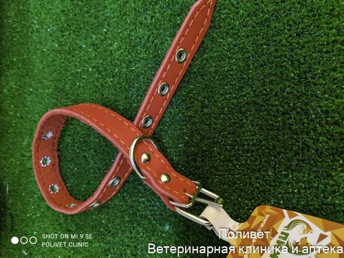 Ошейник кожаный однослойный безразмерный, 45 х 2 см, ОШ 18-39 см, красный 3674976