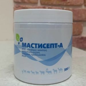 Мастисепт-А мазь 500г