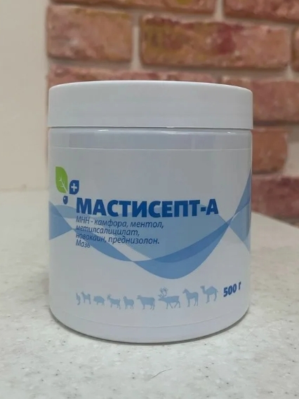 Мастисепт-А мазь 500г