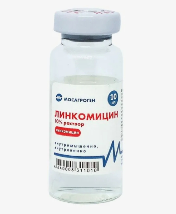 Линкомицин 10% р-р д/инъекций 10мл