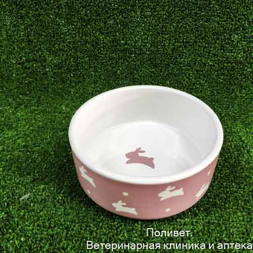 Миска керамическая "Зайчики", 300 мл, 13 x 13 x 5 cм, розовая 9214841