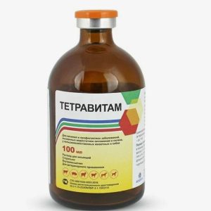 Тетравитам р-р д/инъекций 100мл (Асконт+)