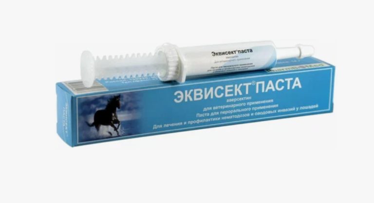 Эквисект паста 14г