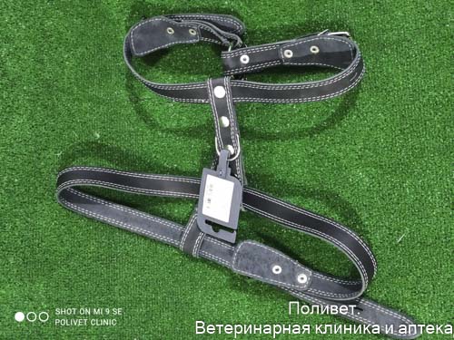 Gamma шлейка кожаная 25x830-950мм