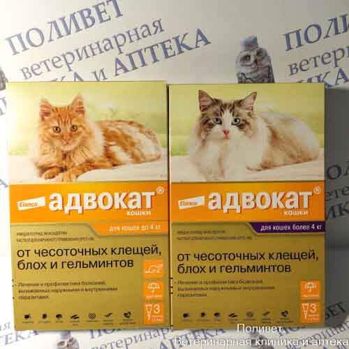 Адвокат Капли для кошек более 4 кг 0,8 мл (3 пип) (спайка 10шт)