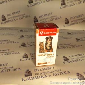Гепатовет Актив суспензия оральная д/собак и кошек, фл. 100мл+шприц-дозатор