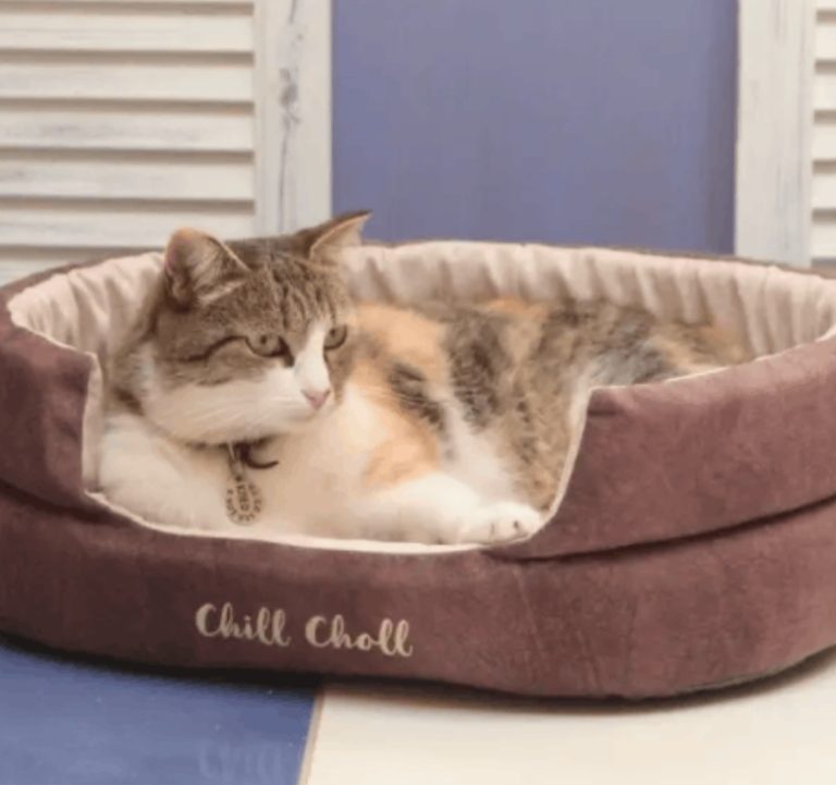 Лежанка 48х40х15см Chill Choll шоколад для кошек и собак