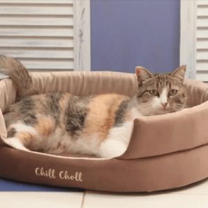 Лежанка 61х51х17см Chill Choll шоколад для кошек и собак