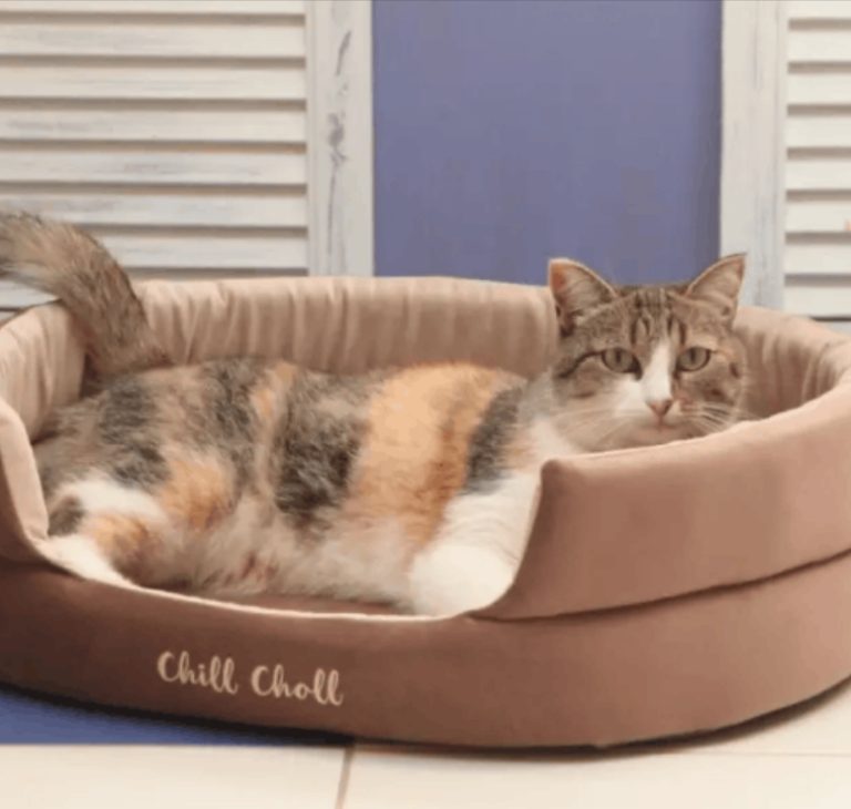 Лежанка 61х51х17см Chill Choll шоколад для кошек и собак