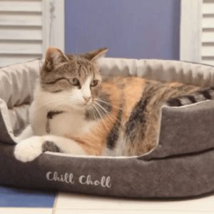 Лежанка 48х40х15см Chill Choll графит для кошек и собак