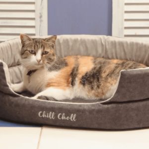 Лежанка 61х51х17см Chill Choll графит для кошек и собак